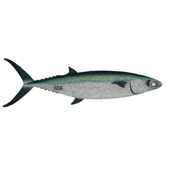 SCADFLAP DREDGE FLAP