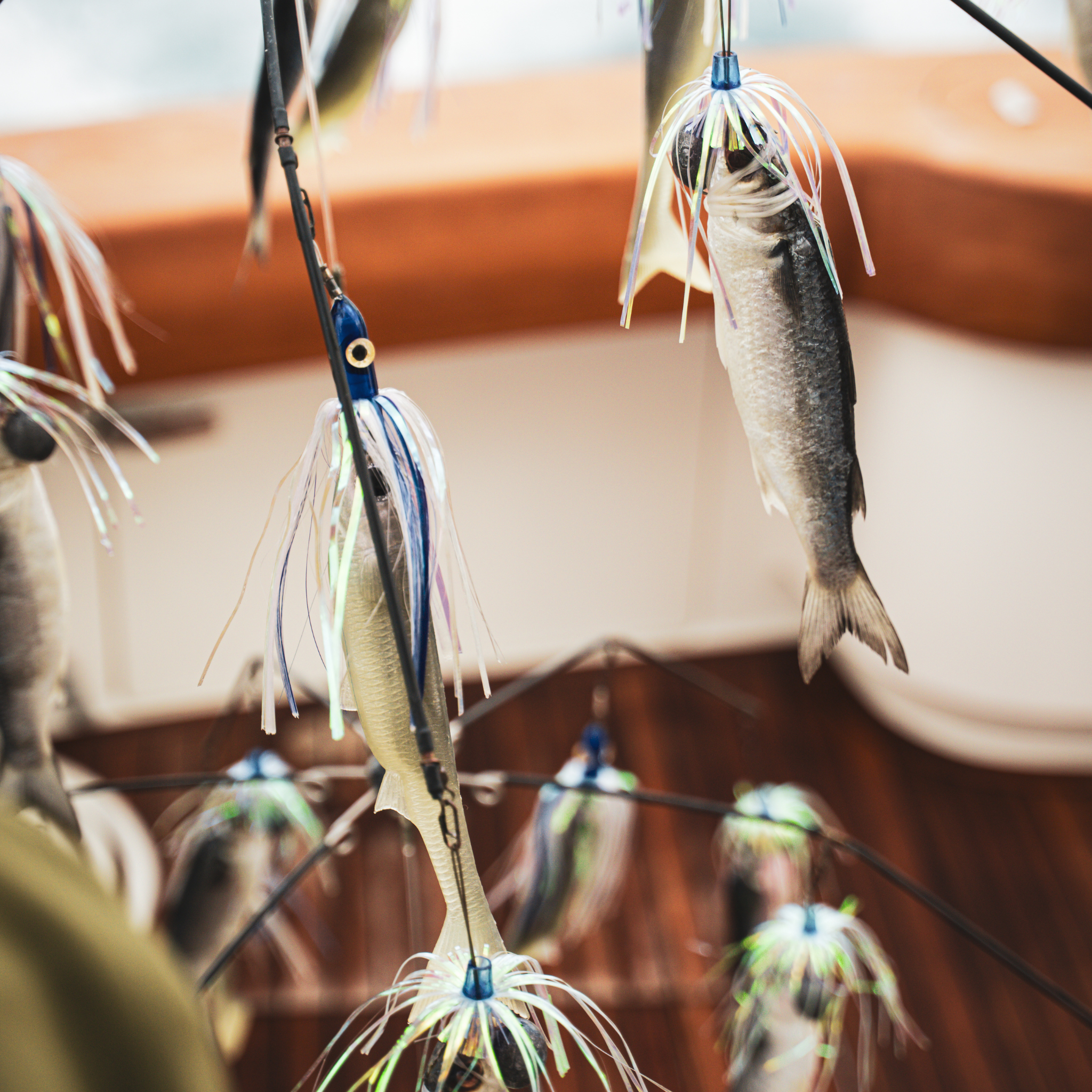 DREDGE BAITS