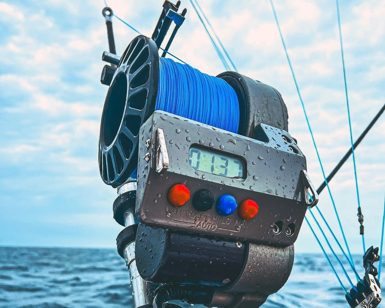 ELECTRIC & TEASER REELS