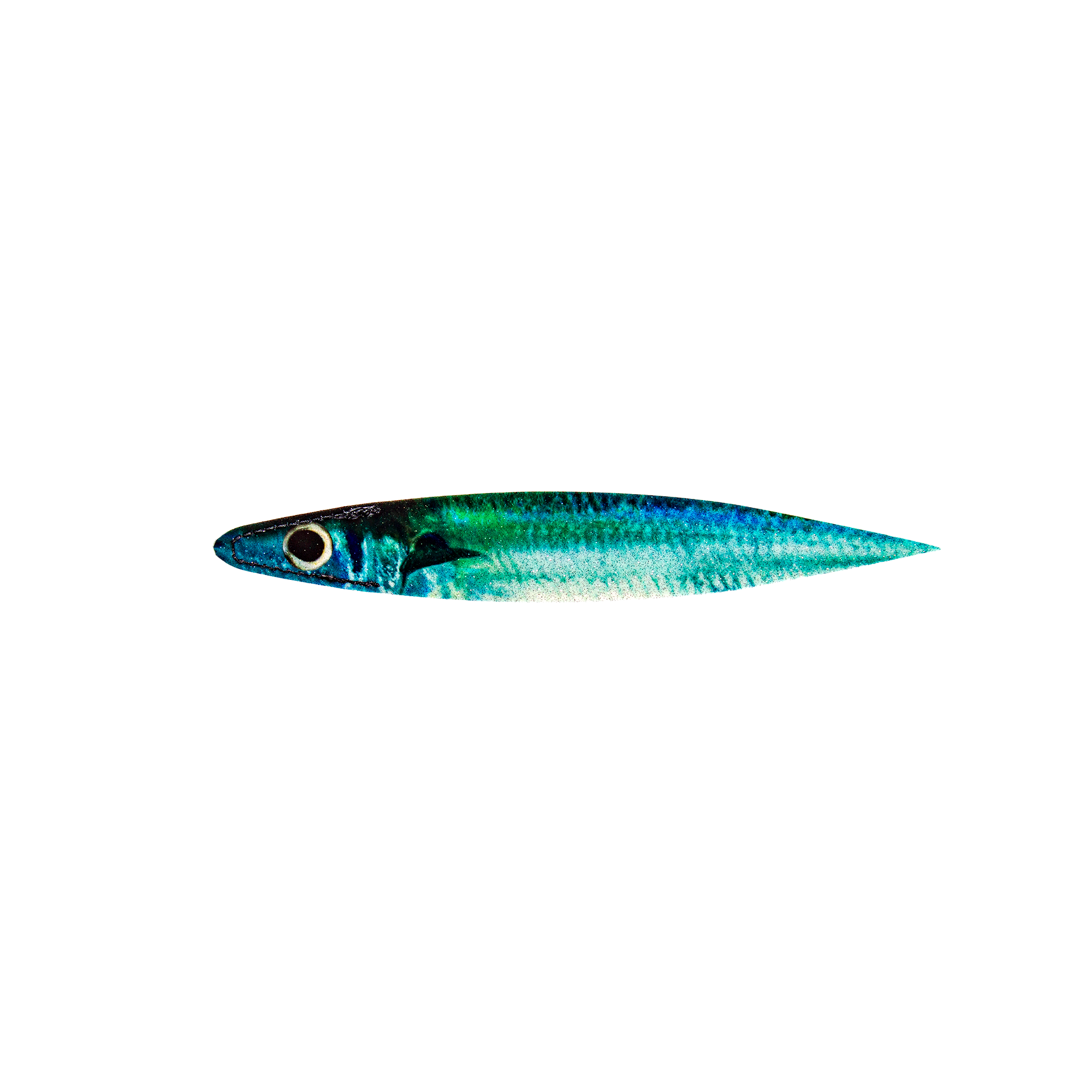 BILLFISH BACON DREDGE STRIPS PRINTED: 10" EXTRA SMALL 12 PACK