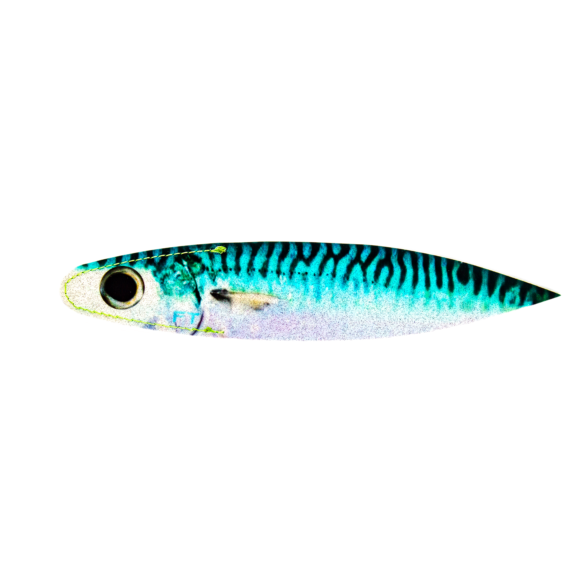 BILLFISH BACON DREDGE STRIPS PRINTED: 11" SMALL 12 PACK
