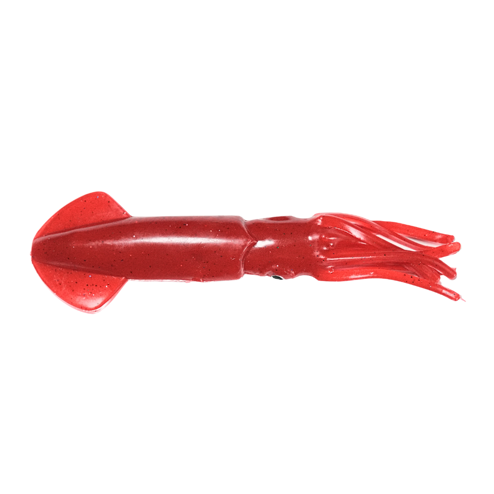 12" SQUID