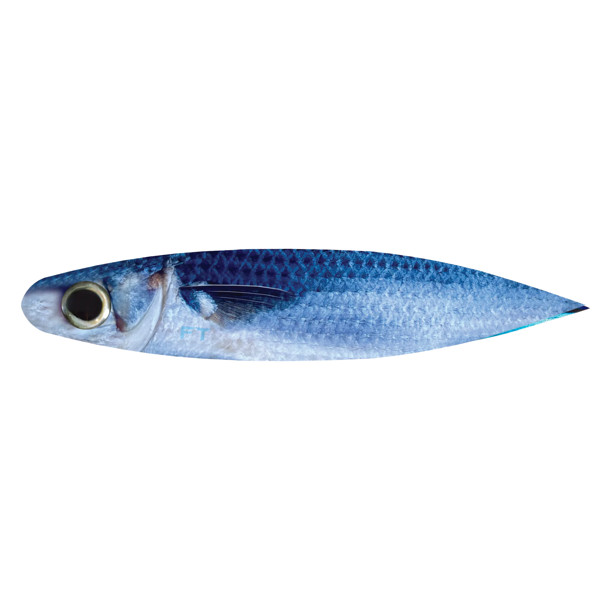 BILLFISH BACON DREDGE STRIPS PRINTED: 14" MEDIUM 12 PACK