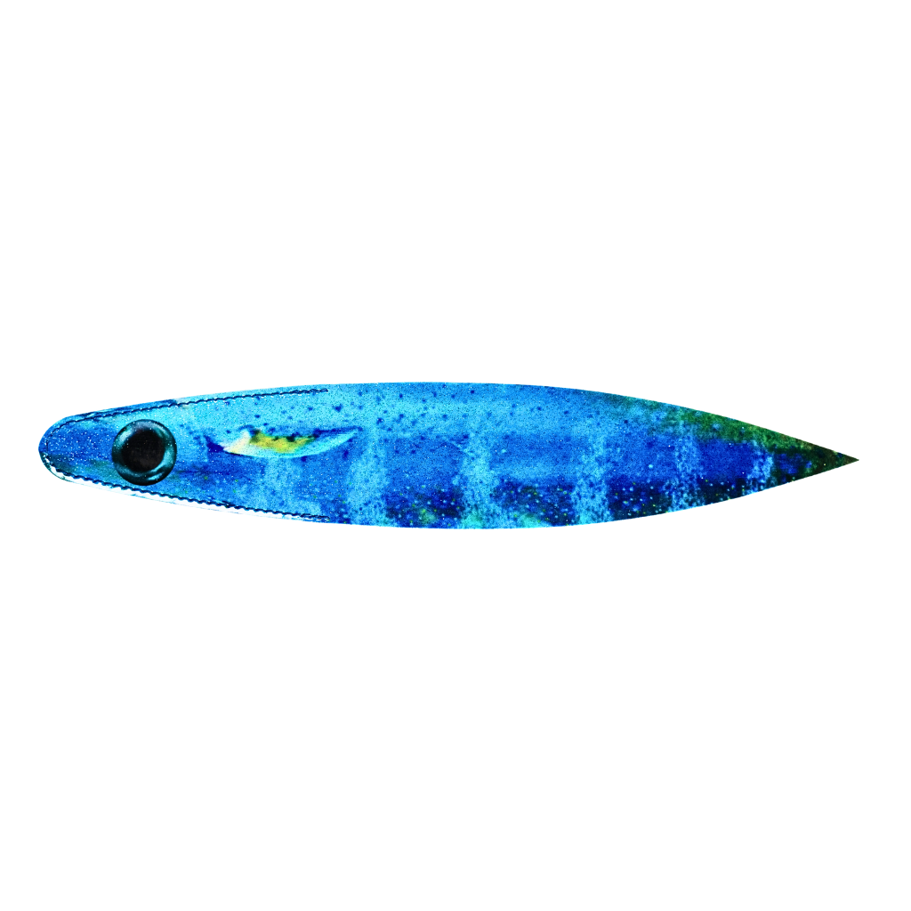A single realistic neon blue mahi fire tailz 14" billfish bacon dredge strip  