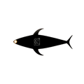 DREDGE TUNA FLAPZ