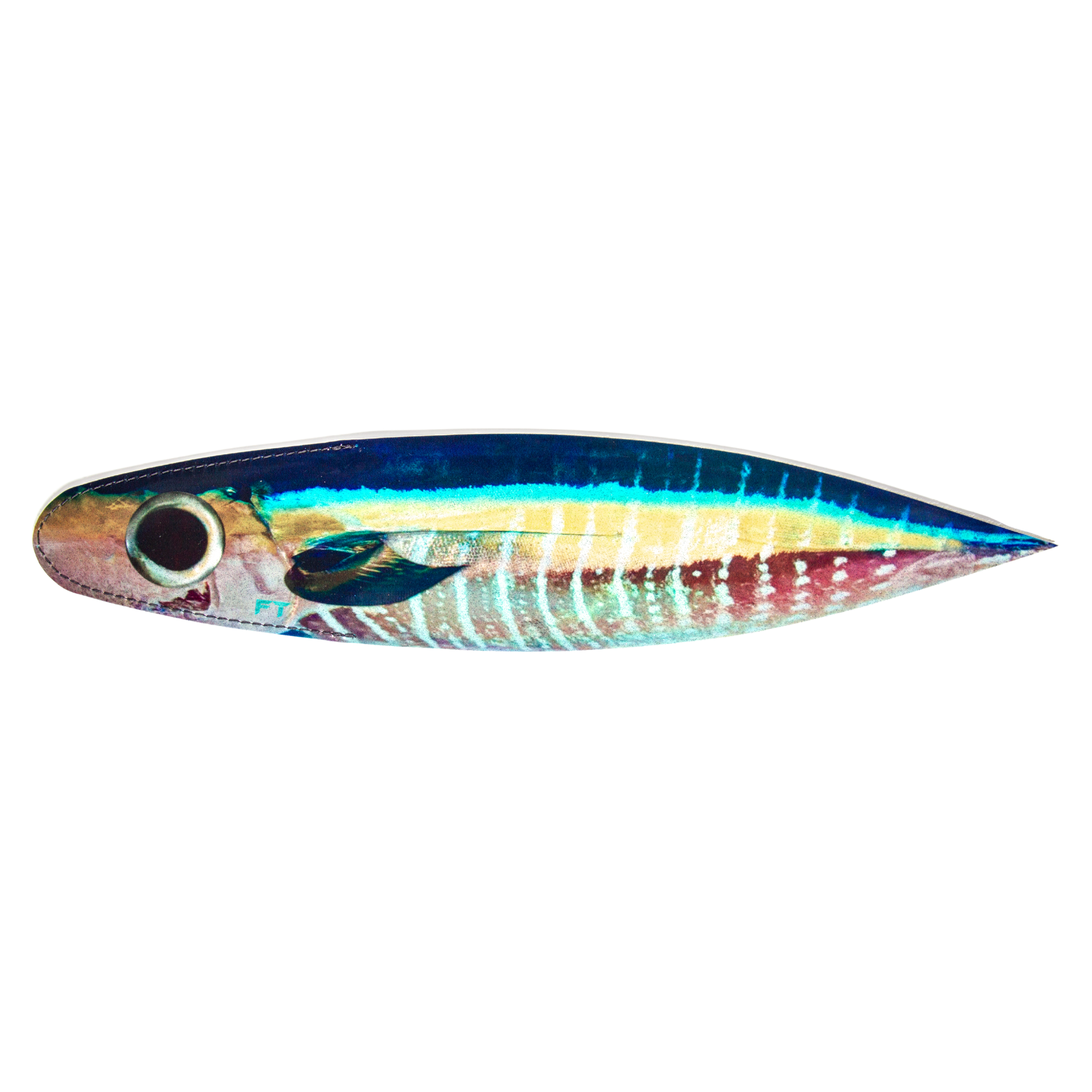 BILLFISH BACON DREDGE STRIPS PRINTED: 18" 6 PACK