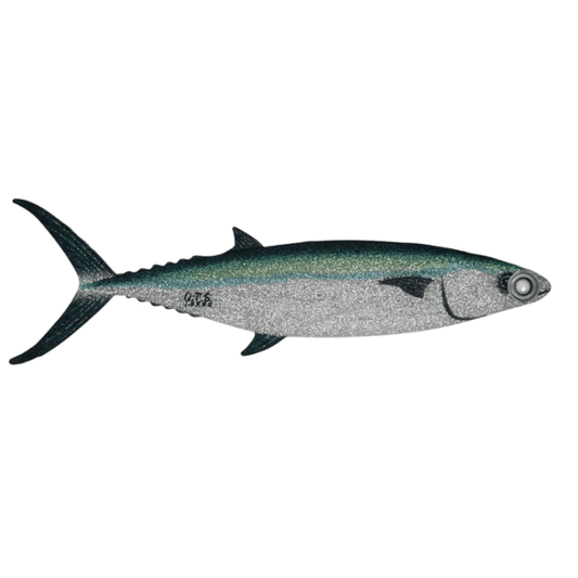 SCADFLAP DREDGE FLAP