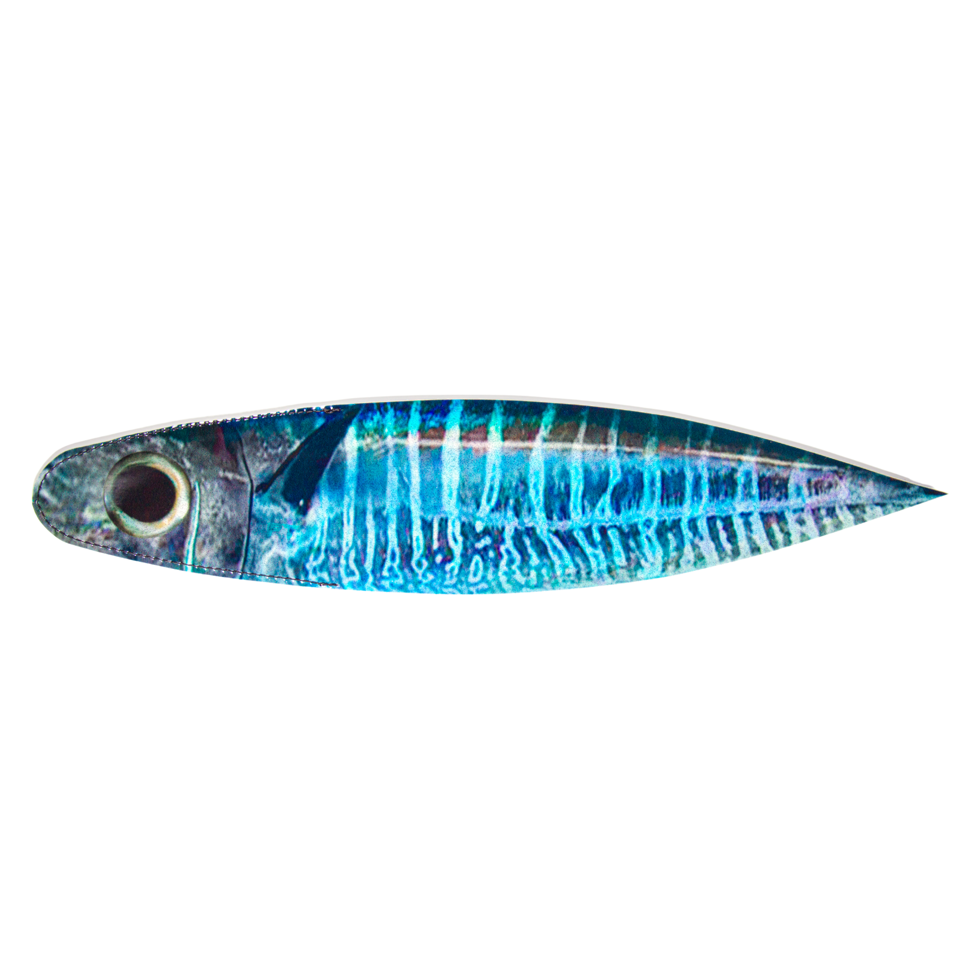 BILLFISH BACON DREDGE STRIPS PRINTED: 18" 6 PACK