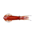 12" VIVID SQUID
