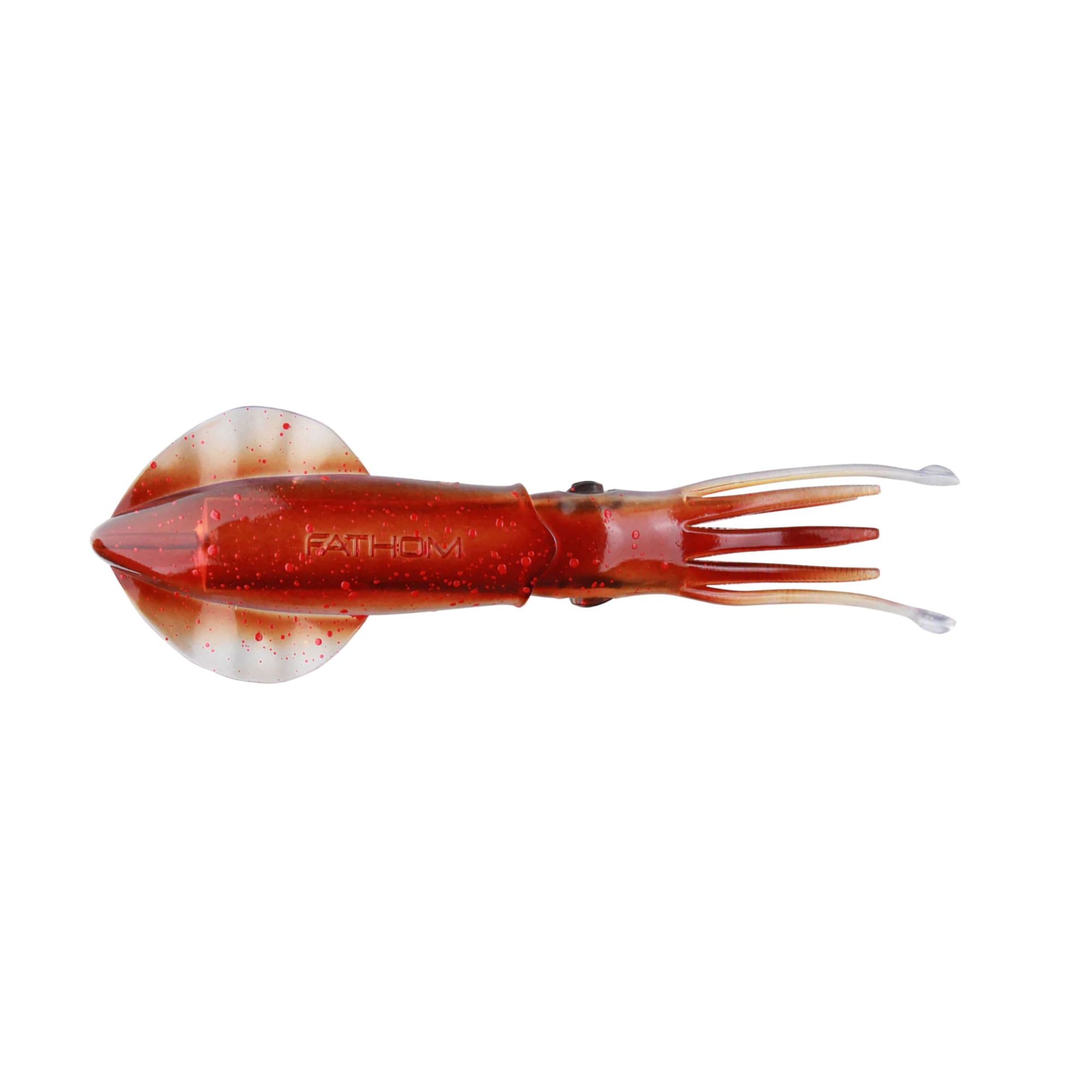 12" VIVID SQUID