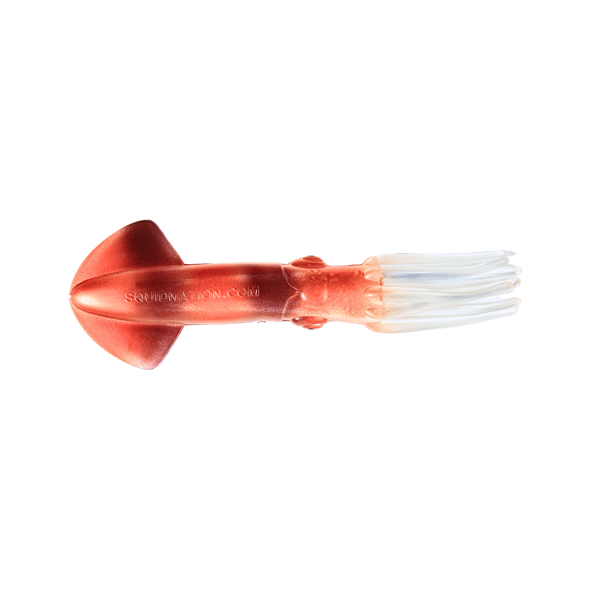12" MAULER SQUIDS