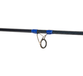TALLUS PX CONVENTIONAL
