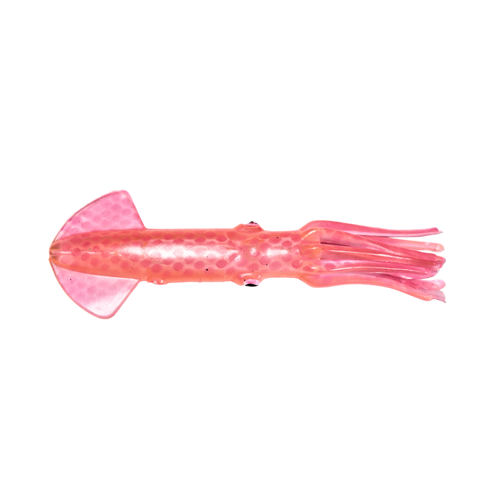 SQUID 9"
