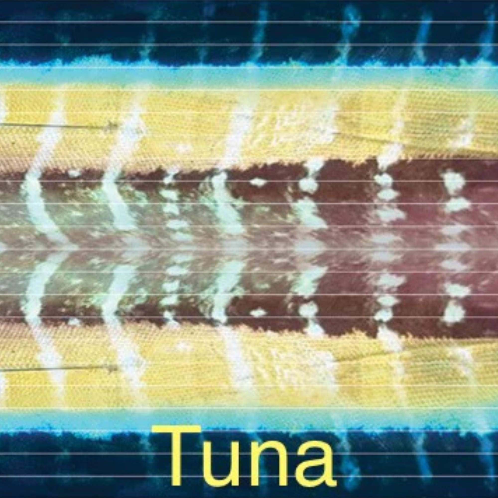 FIRED UP VINYL LURE SKIRTS